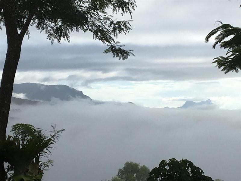 36 Sargents Road, Homeleigh NSW 2474