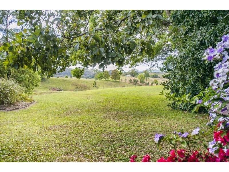 546 Tomewin Road, Tomewin NSW 2484