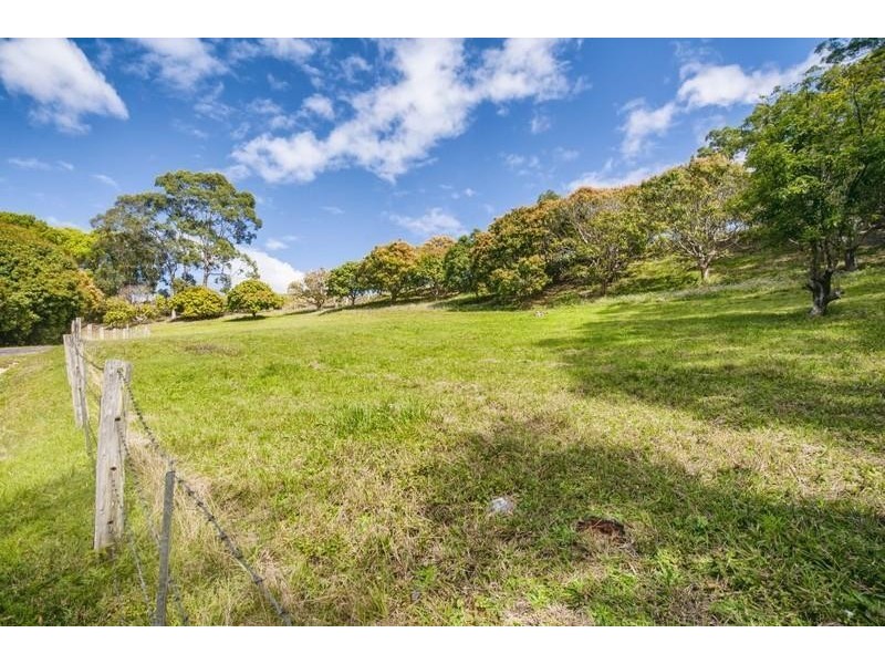 546 Tomewin Road, Tomewin NSW 2484