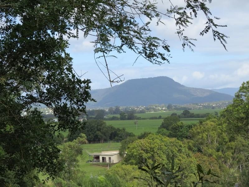 111 Dulguigan Road, Dulguigan NSW 2484