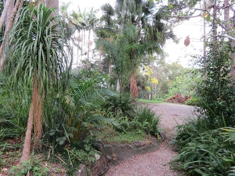 111 Dulguigan Road, Dulguigan NSW 2484