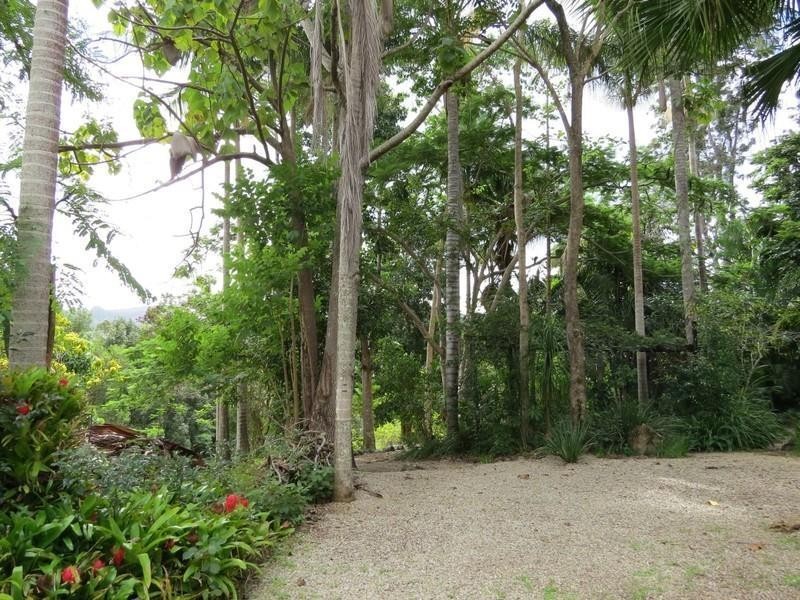 111 Dulguigan Road, Dulguigan NSW 2484