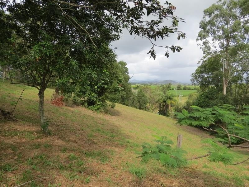 111 Dulguigan Road, Dulguigan NSW 2484