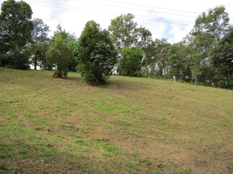 111 Dulguigan Road, Dulguigan NSW 2484