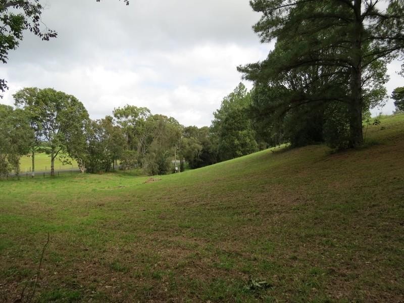 111 Dulguigan Road, Dulguigan NSW 2484