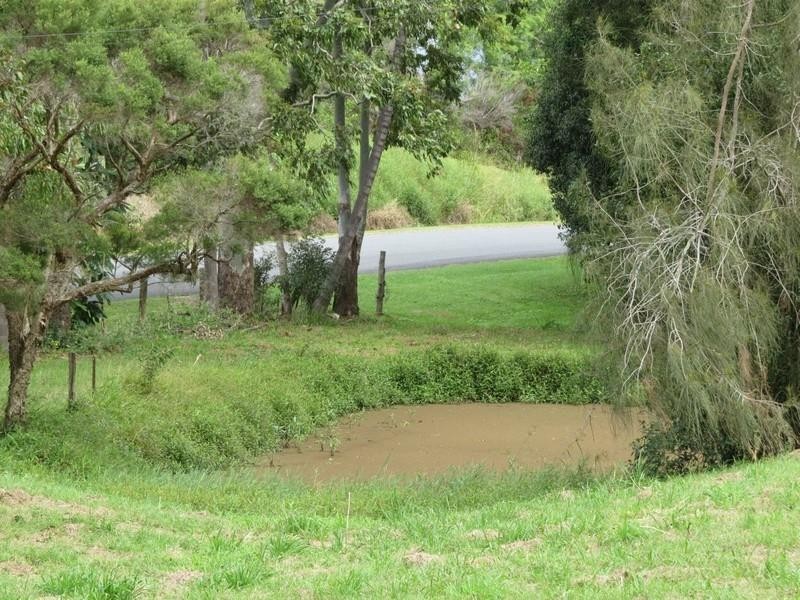 111 Dulguigan Road, Dulguigan NSW 2484