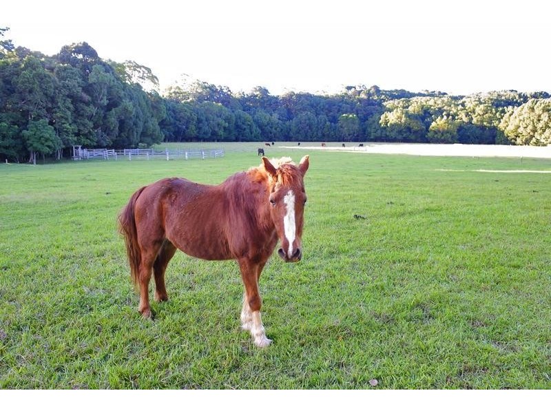 66 Yarrabee Terrace, Stokers Siding NSW 2484