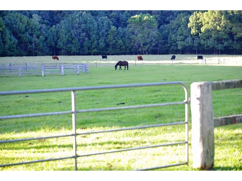 66 Yarrabee Terrace, Stokers Siding NSW 2484