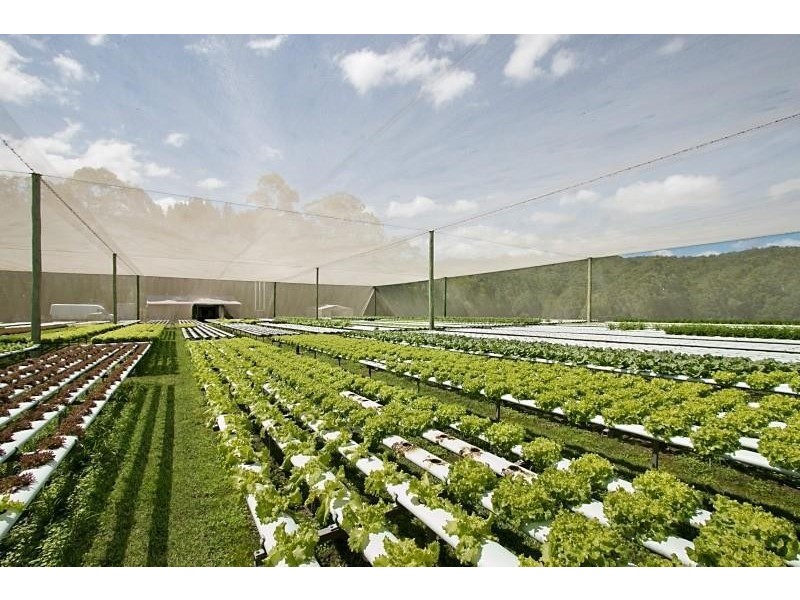 9 Tyalgum Ridge Road, Tyalgum NSW 2484