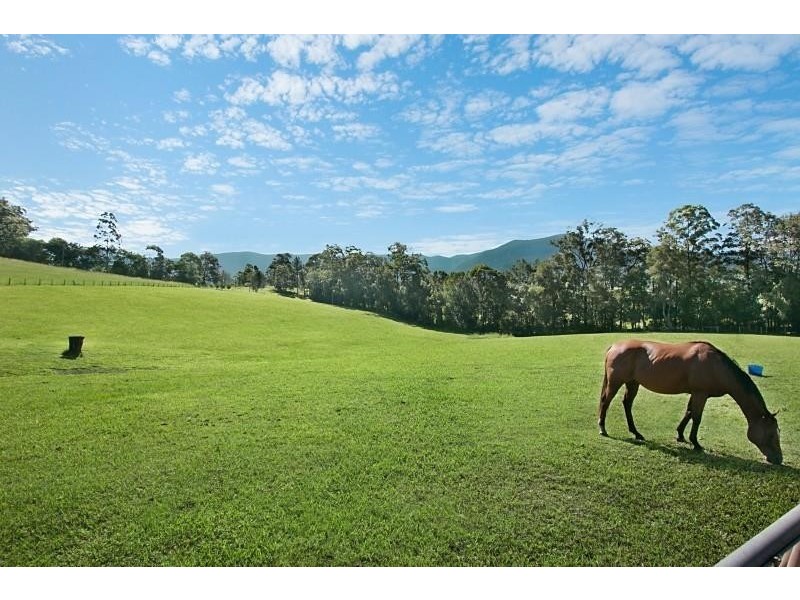 9 Tyalgum Ridge Road, Tyalgum NSW 2484