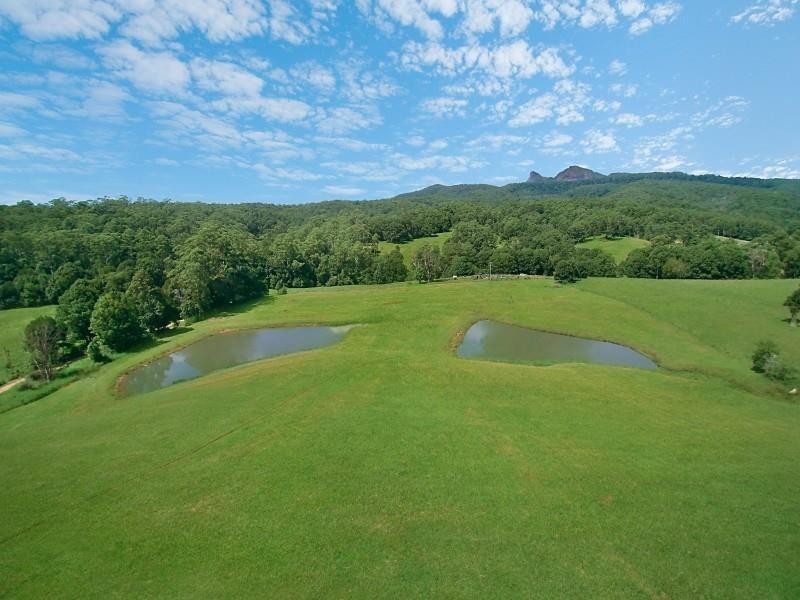 9 Tyalgum Ridge Road, Tyalgum NSW 2484