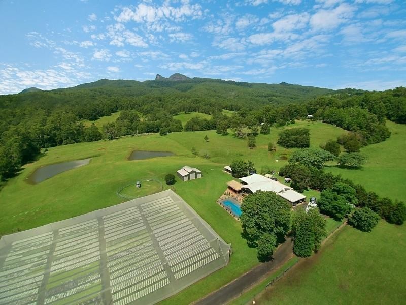 9 Tyalgum Ridge Road, Tyalgum NSW 2484