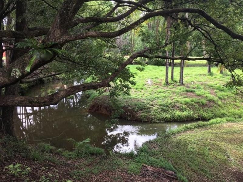 24 Minnows Road Fern Vale, Murwillumbah NSW 2484