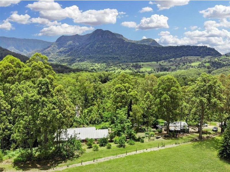 473 Hopkins Creek Road, Hopkins Creek NSW 2484