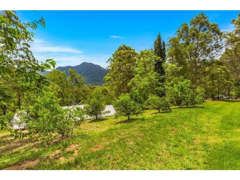 473 Hopkins Creek Road, Hopkins Creek NSW 2484