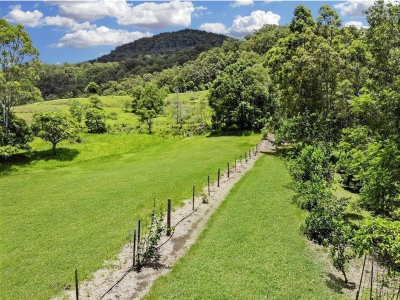 473 Hopkins Creek Road, Hopkins Creek NSW 2484