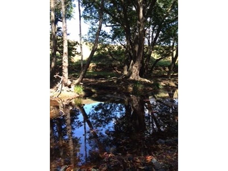 55 Rowlands Creek Road, Uki NSW 2484