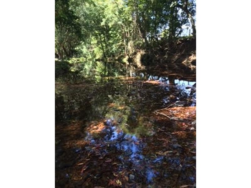 55 Rowlands Creek Road, Uki NSW 2484