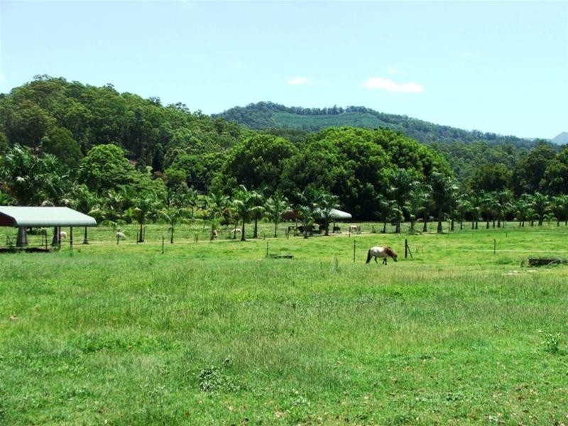 1004 Numinbah Road, Crystal Creek NSW 2484