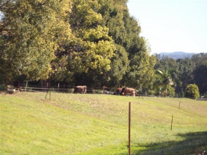 1004 Numinbah Road, Crystal Creek NSW 2484