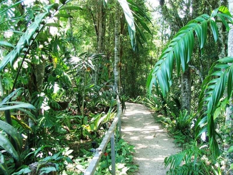 1004 Numinbah Road, Crystal Creek NSW 2484