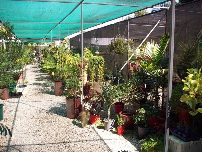 1004 Numinbah Road, Crystal Creek NSW 2484