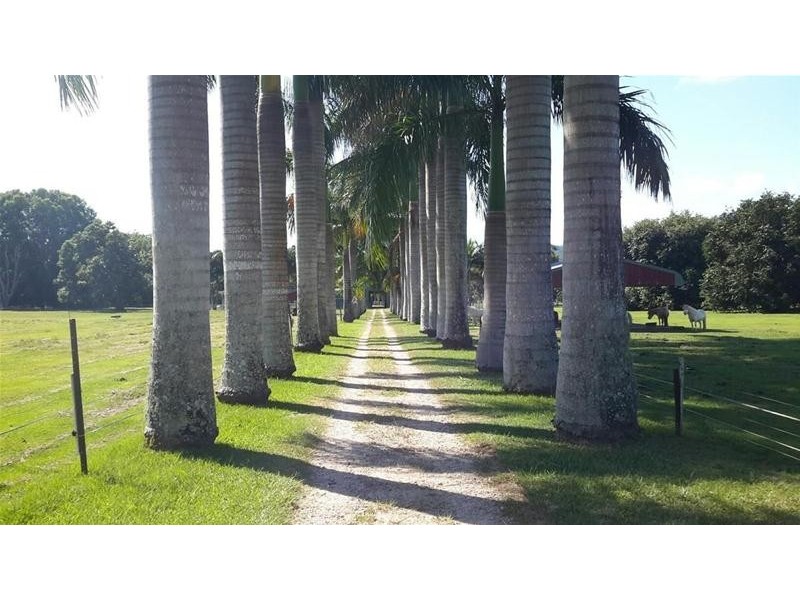 1004 Numinbah Road, Crystal Creek NSW 2484