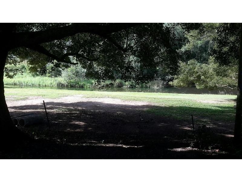 1004 Numinbah Road, Crystal Creek NSW 2484