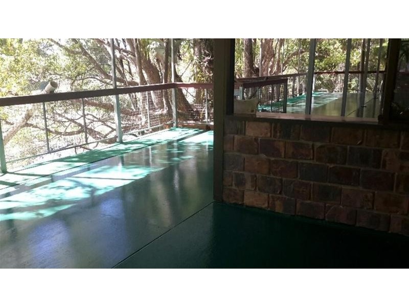 1004 Numinbah Road, Crystal Creek NSW 2484