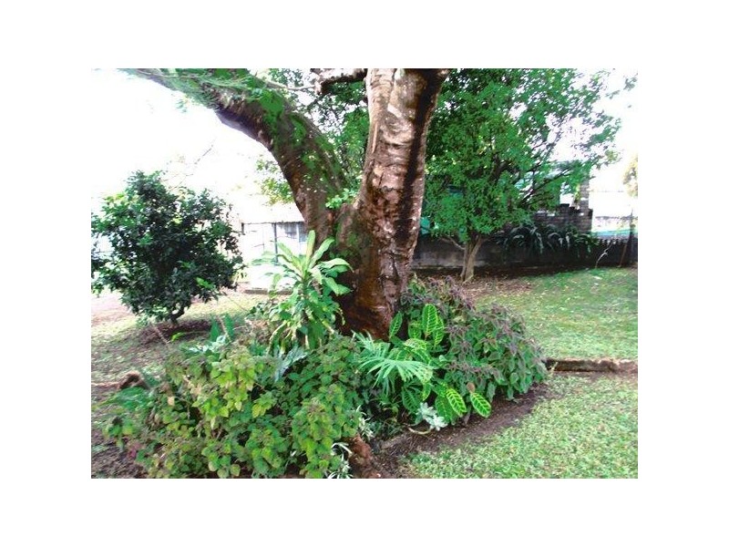 8 Thompson Street, Murwillumbah NSW 2484