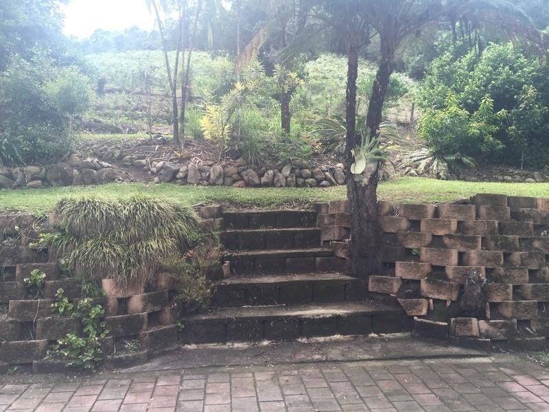 1412 Numinbah Road, Chillingham NSW 2484