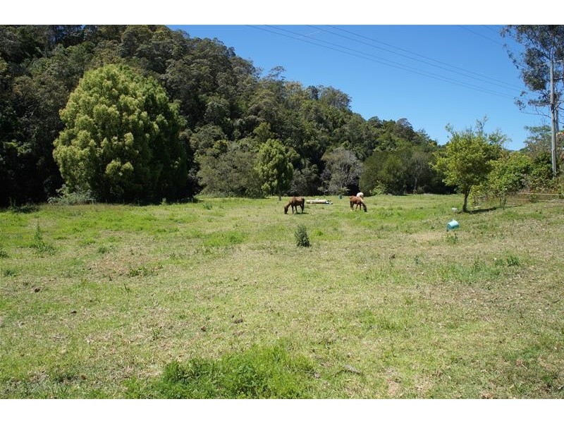 239 Rowlands Creek Road, Uki NSW 2484