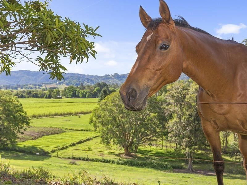 69 Dulguigan Road, Murwillumbah NSW 2484