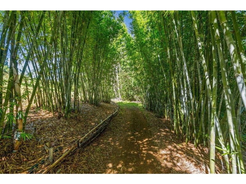 34 Bonnydoon Road, Uki NSW 2484