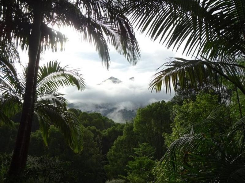 34 Bonnydoon Road, Uki NSW 2484