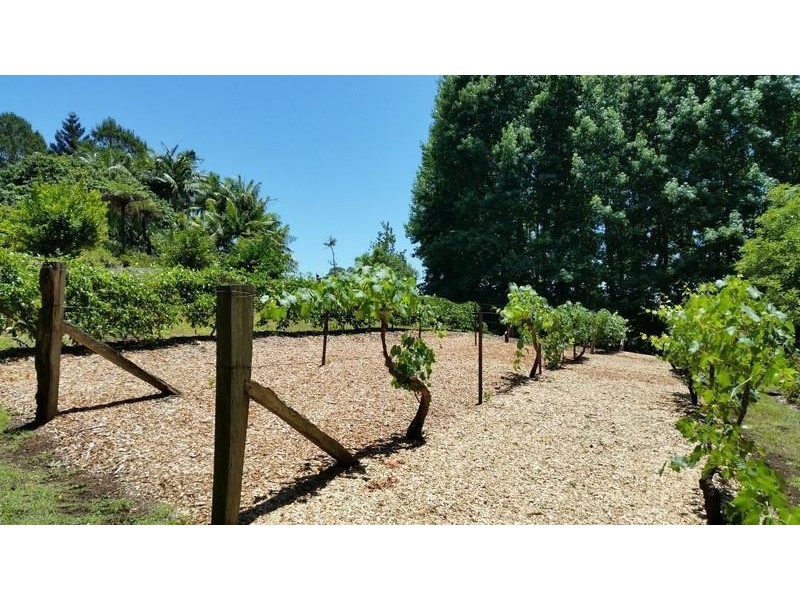 191 Pinnacle Road, Tyalgum NSW 2484