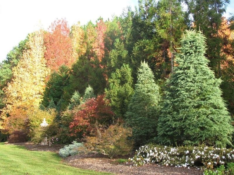 191 Pinnacle Road, Tyalgum NSW 2484