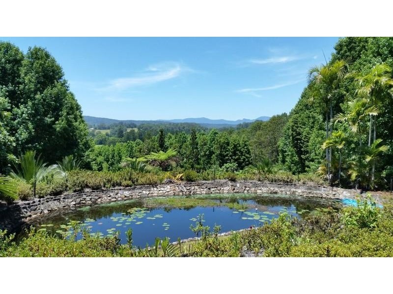 191 Pinnacle Road, Tyalgum NSW 2484