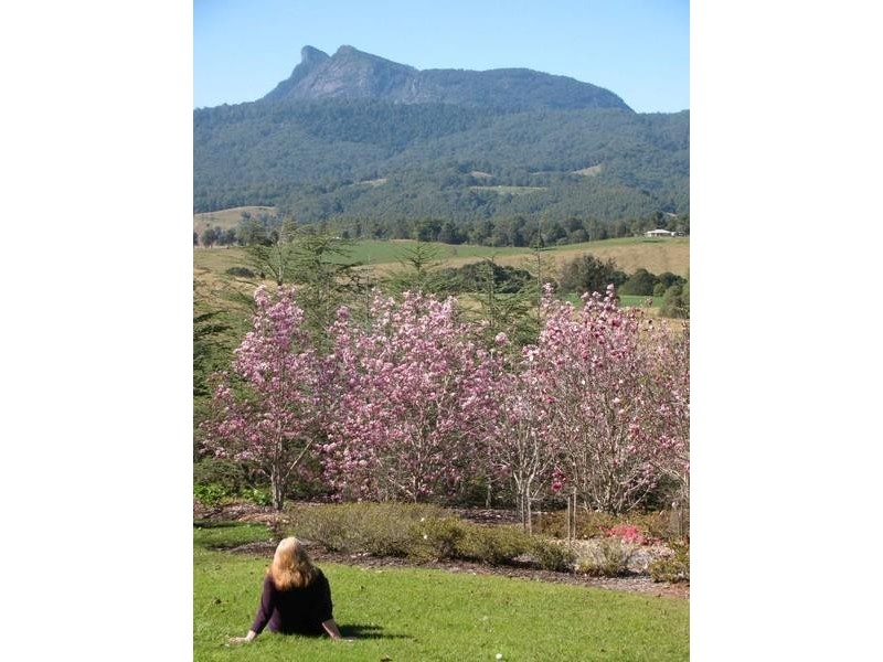 191 Pinnacle Road, Tyalgum NSW 2484