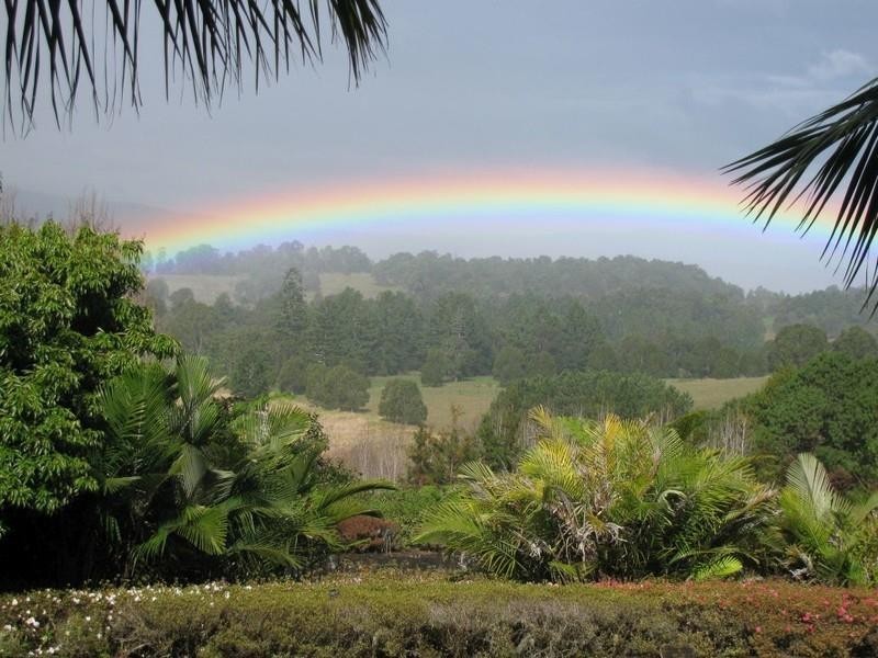 191 Pinnacle Road, Tyalgum NSW 2484