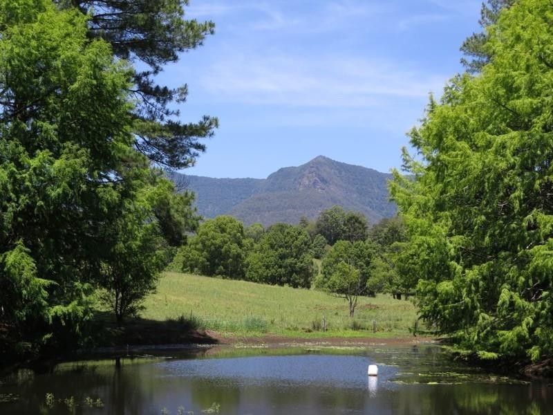 191 Pinnacle Road, Tyalgum NSW 2484