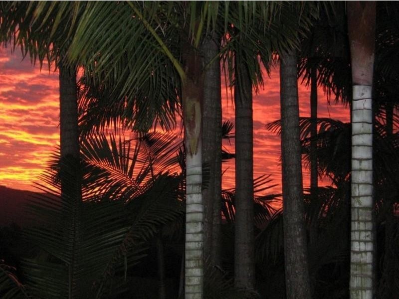 191 Pinnacle Road, Tyalgum NSW 2484