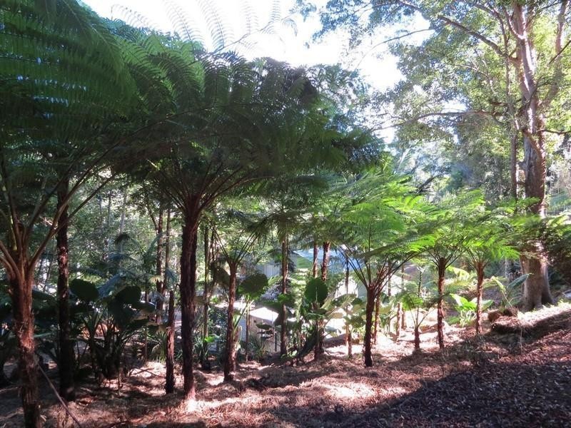 153 Braeside Drive, Uki NSW 2484