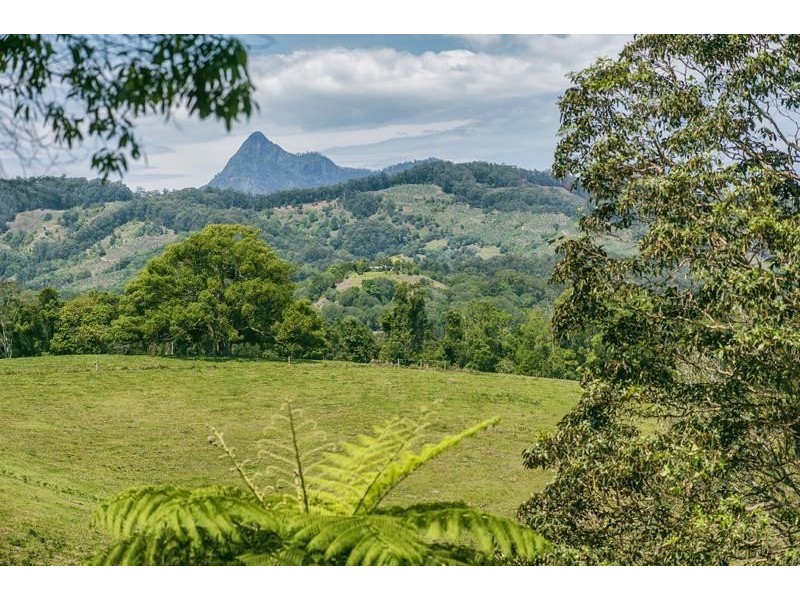 379 Nobbys Creek Road, Nobbys Creek NSW 2484