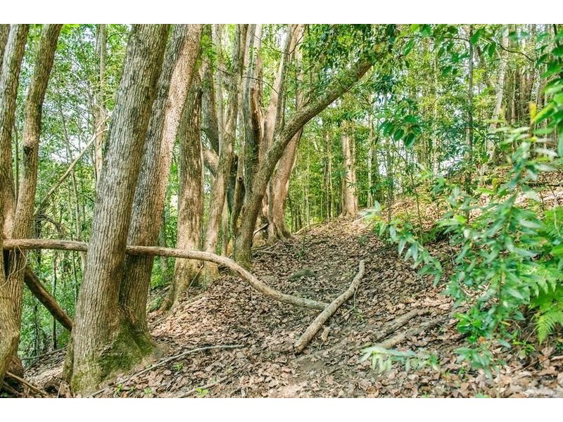 379 Nobbys Creek Road, Nobbys Creek NSW 2484