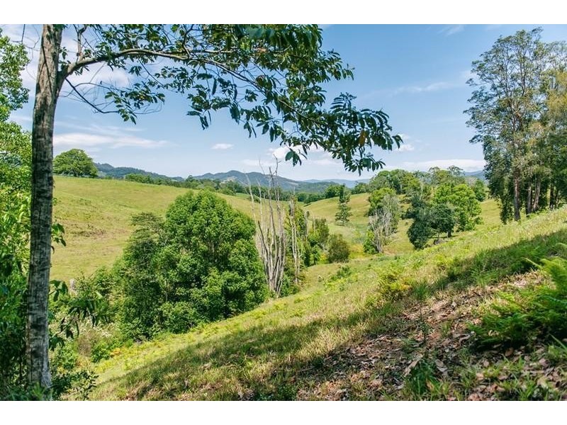 379 Nobbys Creek Road, Nobbys Creek NSW 2484
