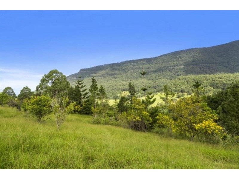 372 Limpinwood Valley Road, Limpinwood NSW 2484