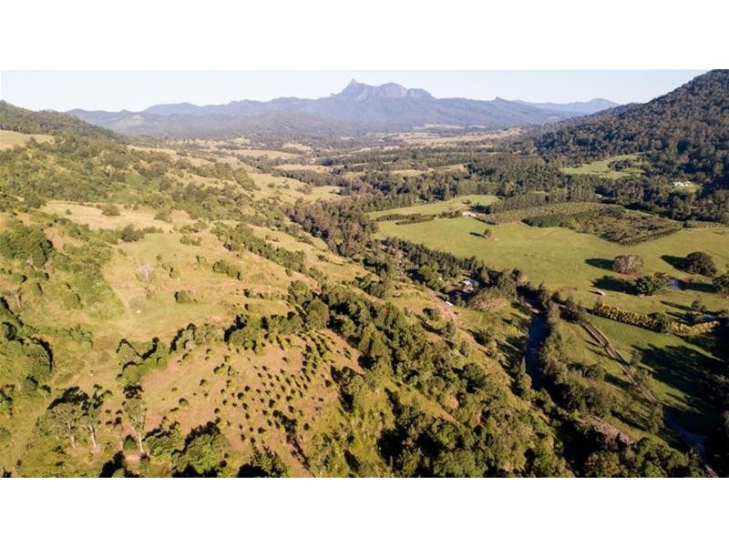 372 Limpinwood Valley Road, Limpinwood NSW 2484