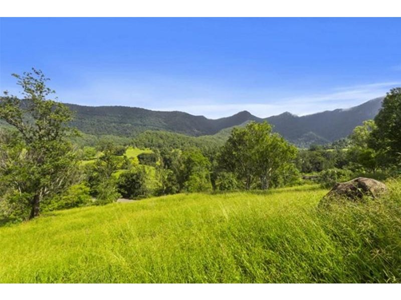 372 Limpinwood Valley Road, Limpinwood NSW 2484