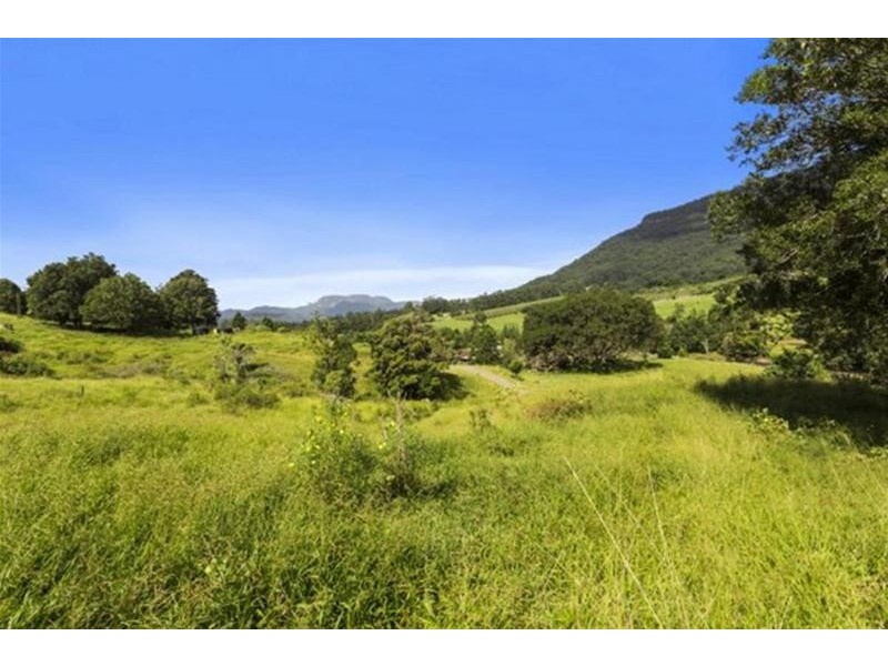 372 Limpinwood Valley Road, Limpinwood NSW 2484